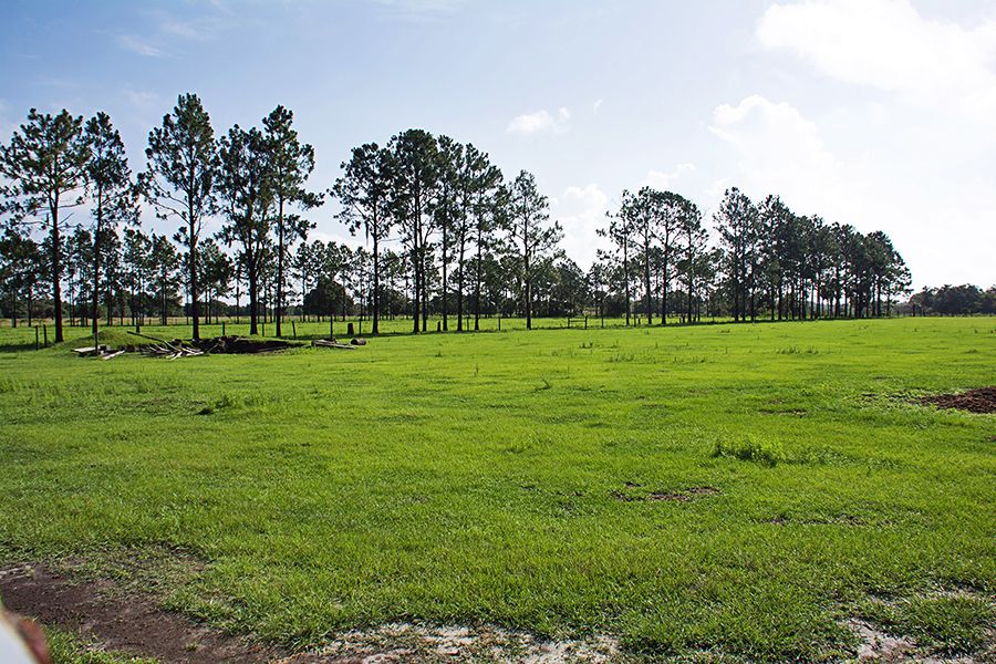 3375 Anderson Rd, Mulberry, FL 33860